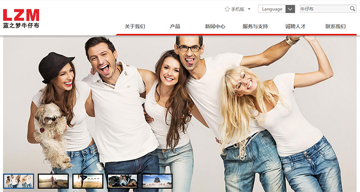 新塘做网站公司